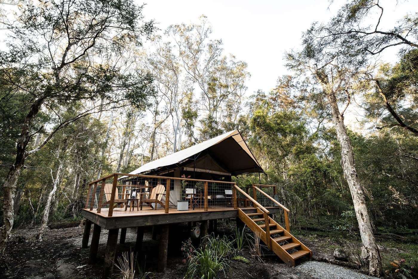 Paperbark Camp